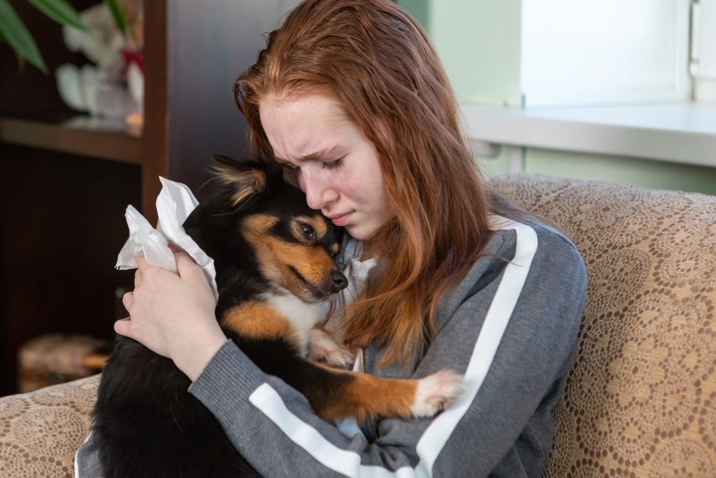 Typical Reasons of Pet Anxiety